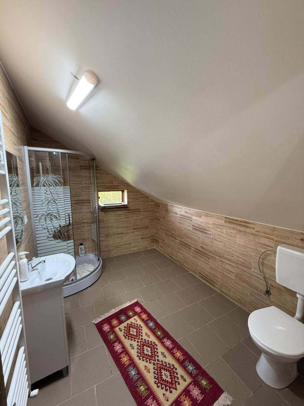 Casa Dunca Villa Máramarossziget Kültér fotó